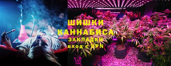 мет Няндома