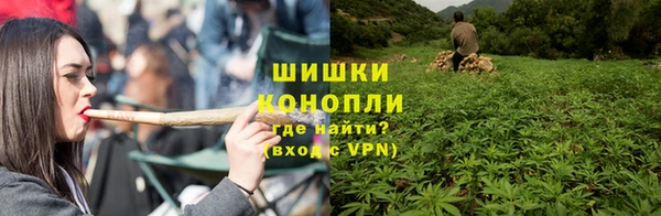 мет Няндома