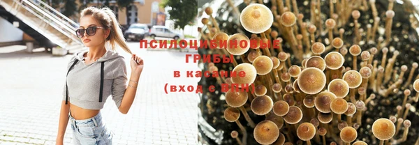 мет Няндома
