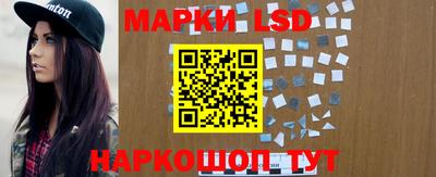 шишки Абакан