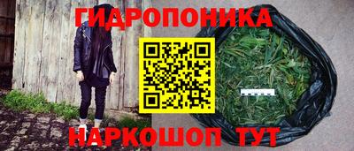 сатива Азнакаево