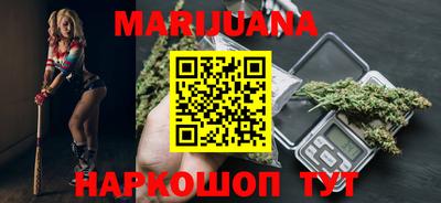 шишки Абакан