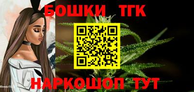 шишки Абакан