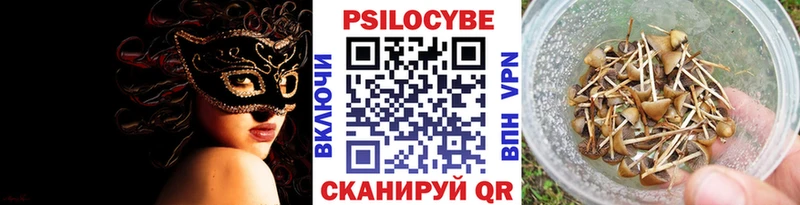 Галлюциногенные грибы Psilocybe  купить наркоту  Азнакаево 