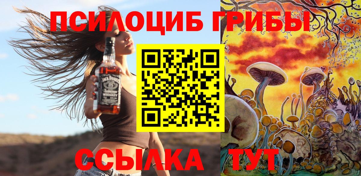 Галлюциногенные грибы Psilocybine cubensis  Вход с VPN  Азнакаево 